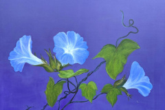 Blaaklokke 100x100 422